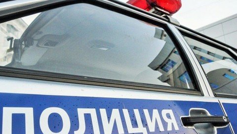 В Ершичском районе сотрудники полиции раскрыли незаконную рубку леса